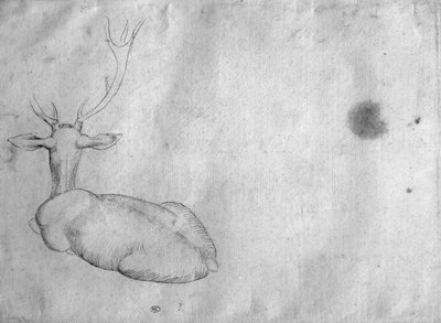 バジャルディアルバムの後ろから見たクワガタムシ 作： Antonio Pisanello
